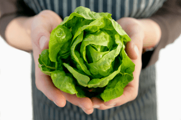 Lettuce Survive: From B2B To D2C - XPotential Blog