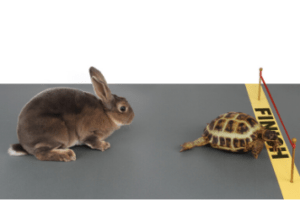 The Tortoise and the Hare - XPotential Blog