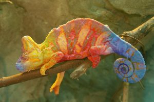 Taking control of change - XPotential