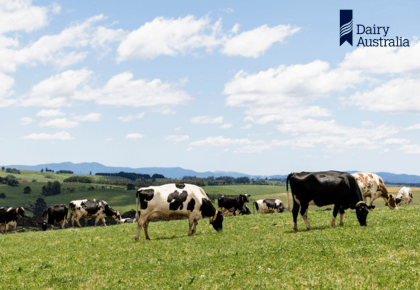 Dairy Australia - Brand Positioning and Strategy - XPotential